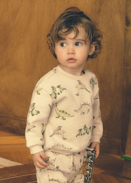 Sudadera sin capucha dinosaurio
