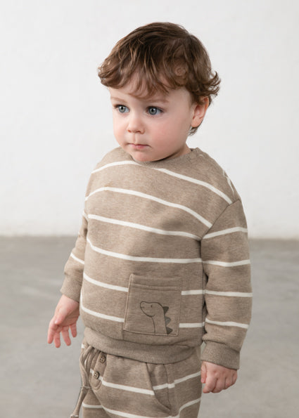 Sudadera con bolsillo dinosaurio