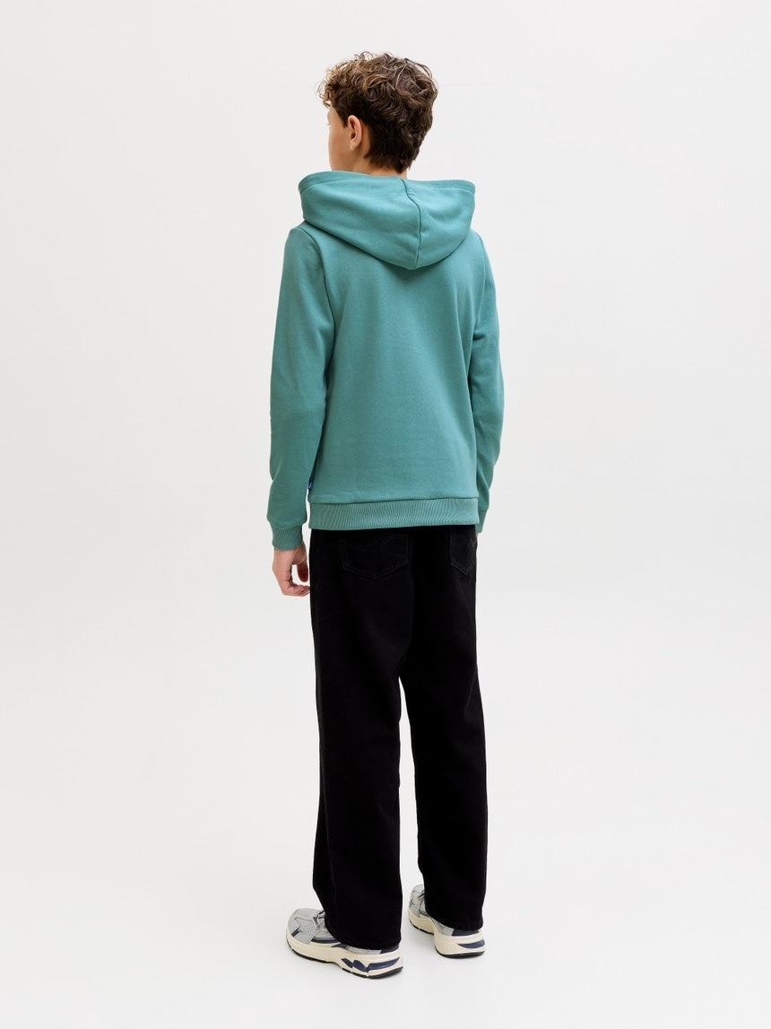 Sudadera con capucha lisa