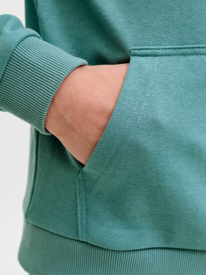 Sudadera con capucha lisa