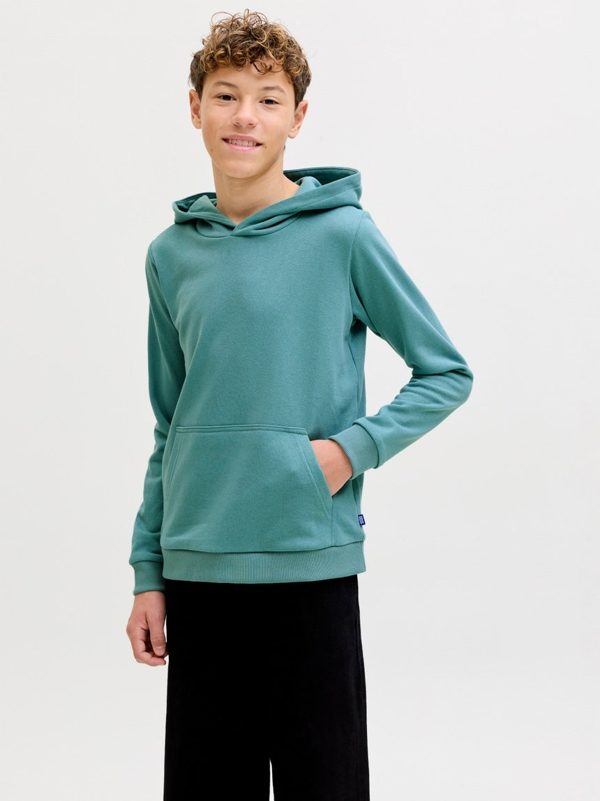 Sudadera con capucha lisa