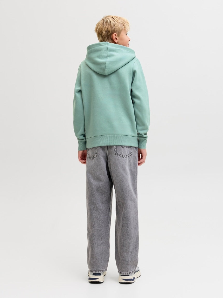 Sudadera capucha Jack & Jones