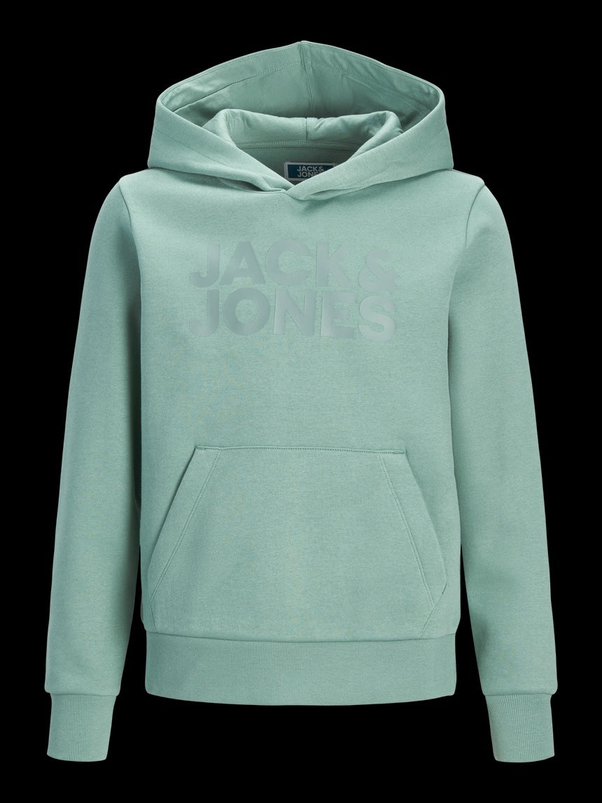 Sudadera capucha Jack & Jones