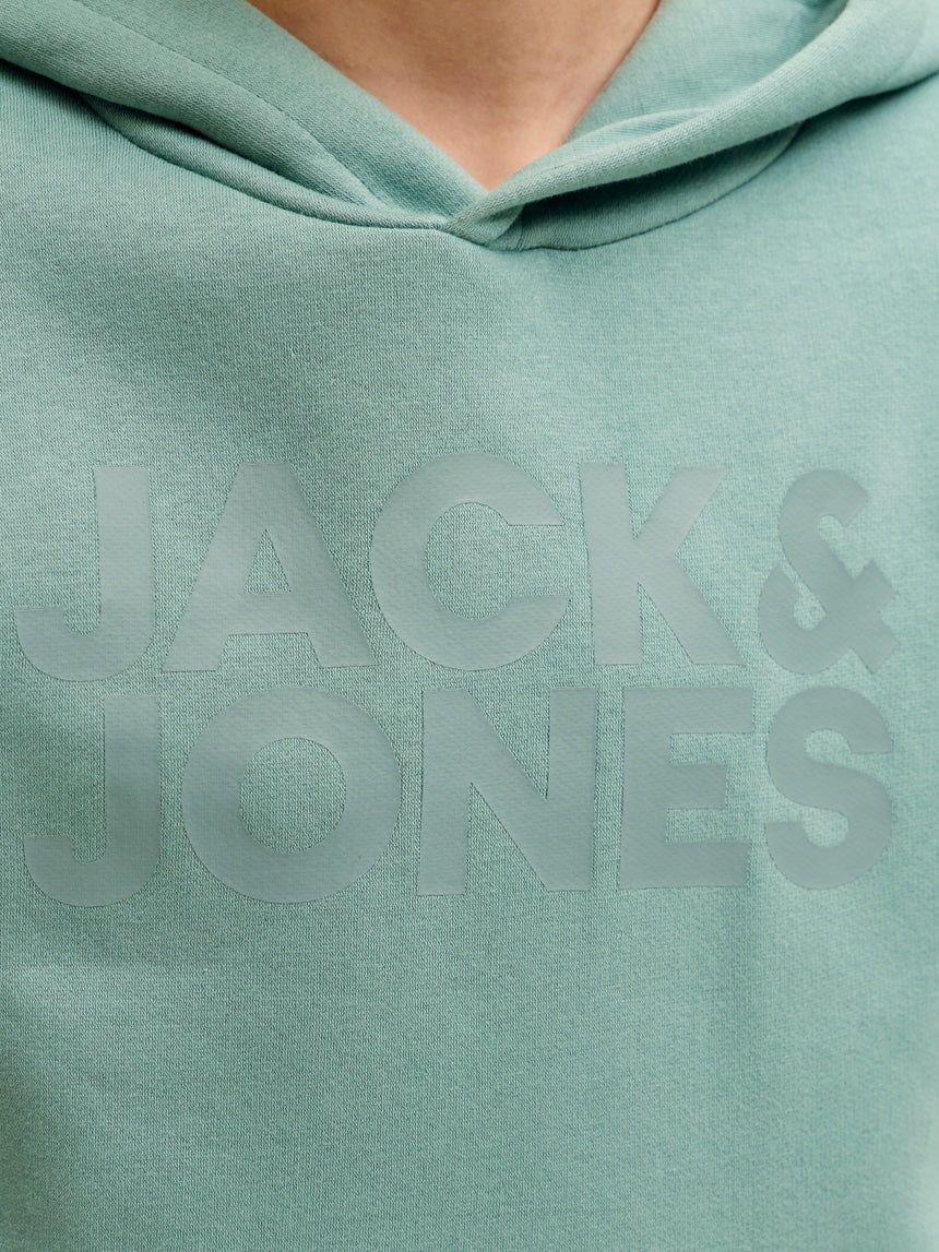 Sudadera capucha Jack & Jones