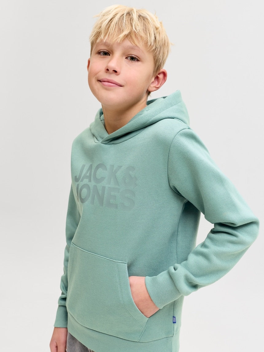 Sudadera capucha Jack & Jones