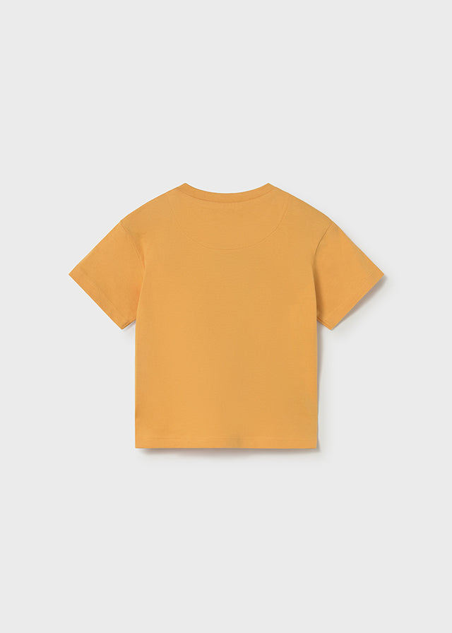 Camiseta manga corta lenticular