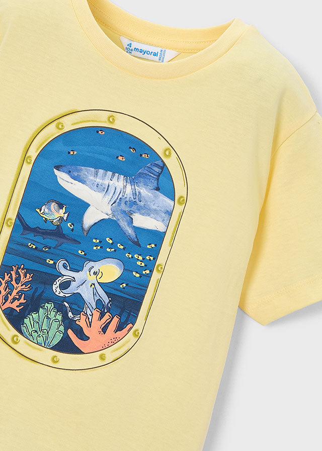 Camiseta manga corta ventana