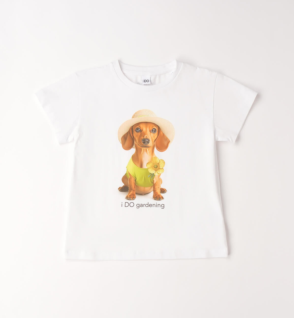 Camiseta Teckel