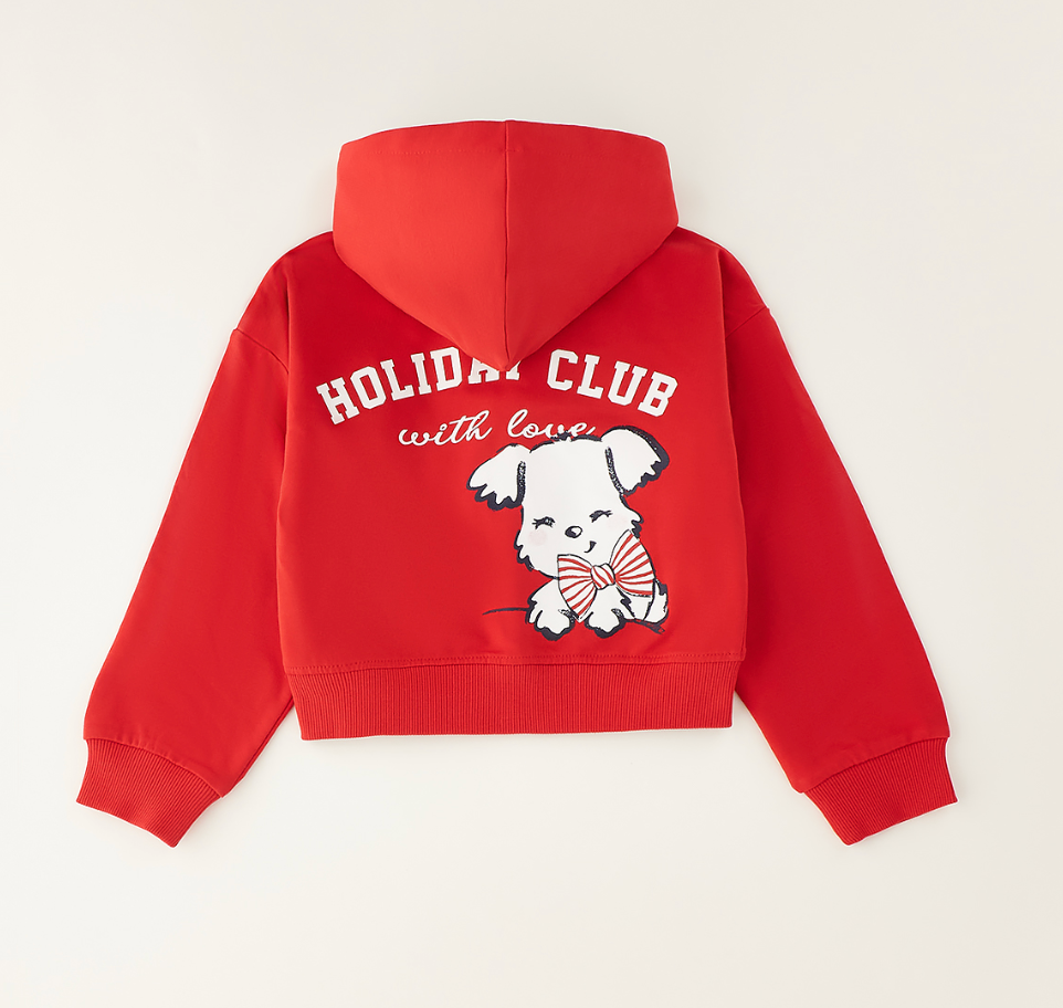 Sudadera niña con cremallera y capucha