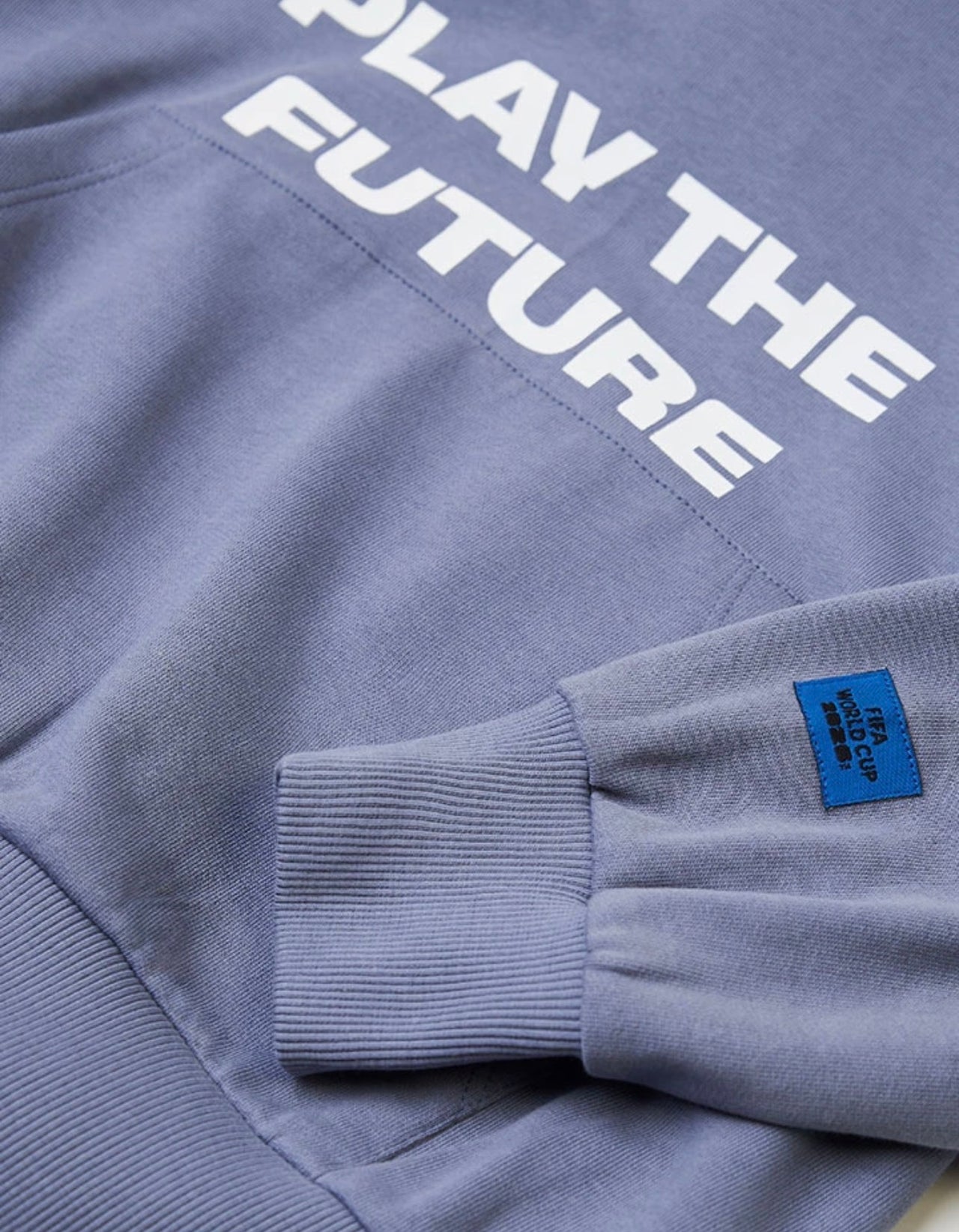Sudadera FIFA con capucha
