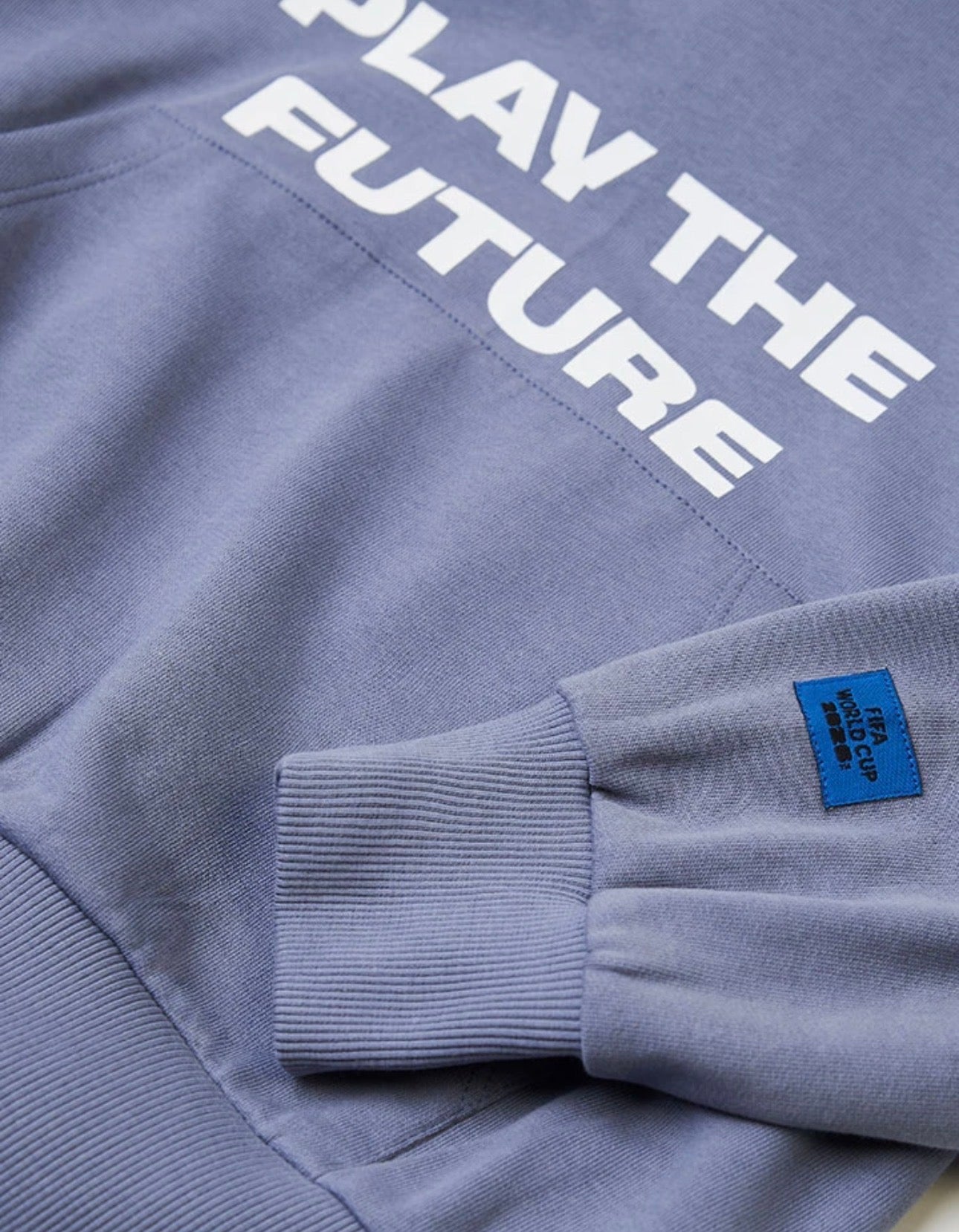 Sudadera FIFA con capucha