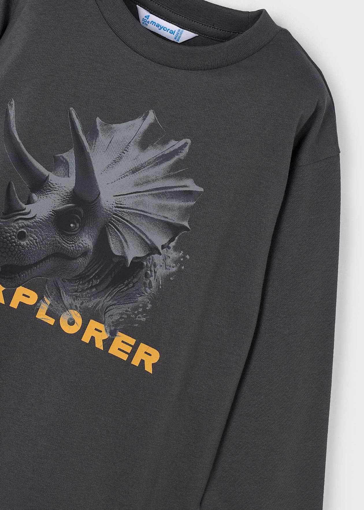 Camiseta Manga Larga 