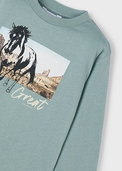 Camiseta Manga Larga Caballo