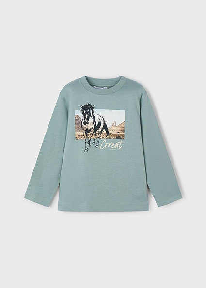 Camiseta Manga Larga Caballo
