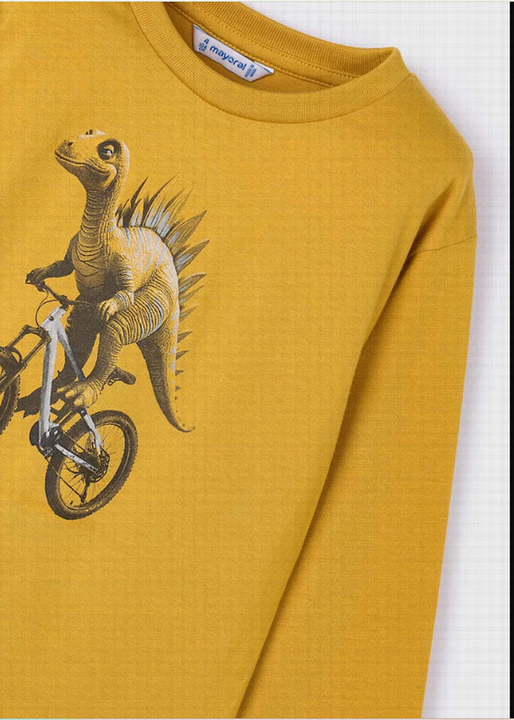 Camiseta Manga Larga 