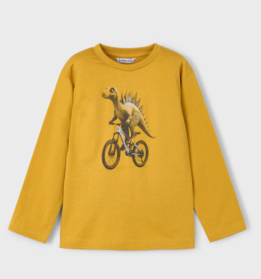 Camiseta Manga Larga 