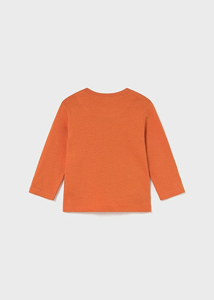 Camiseta Manga Larga Lenticular