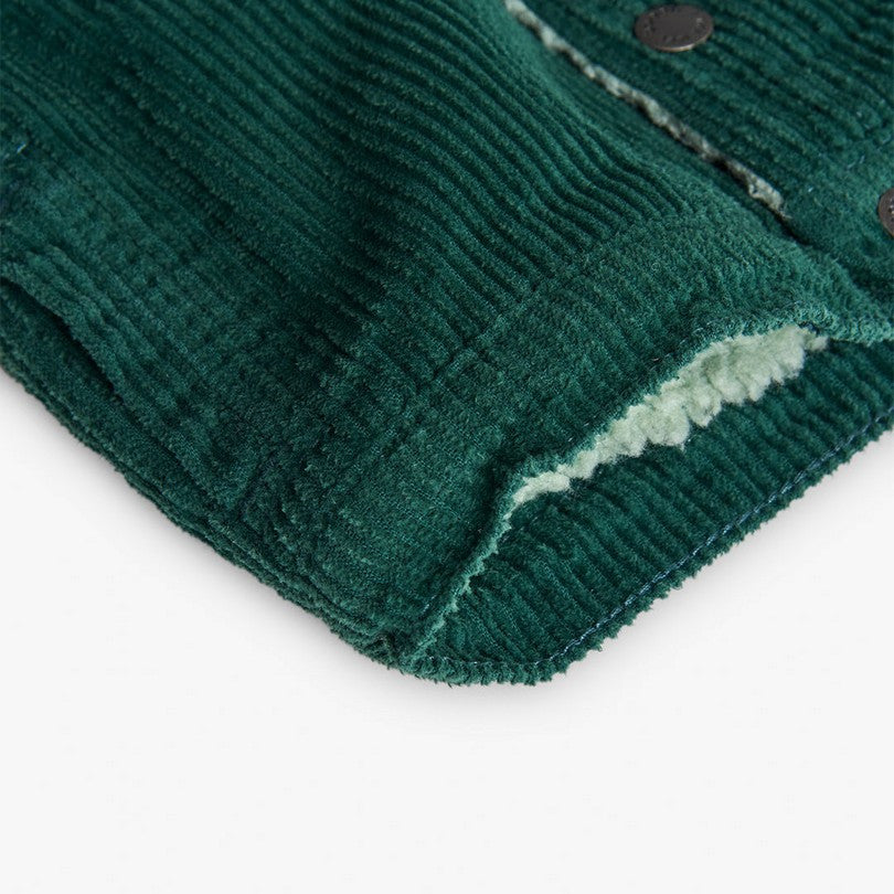 Cazadora Pana Niño Con Borreguillo