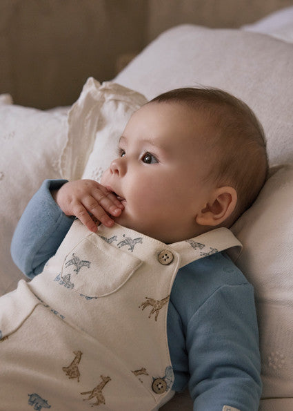 Conjunto Peto Estapado