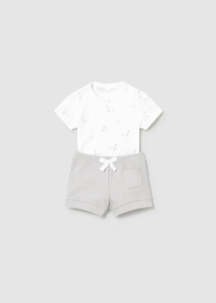 Conjunto punto 4 piezas