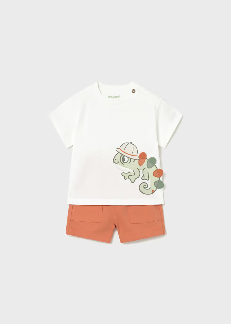Conjunto punto play