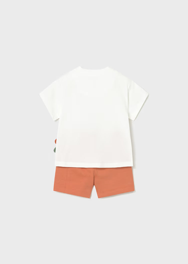 Conjunto punto play