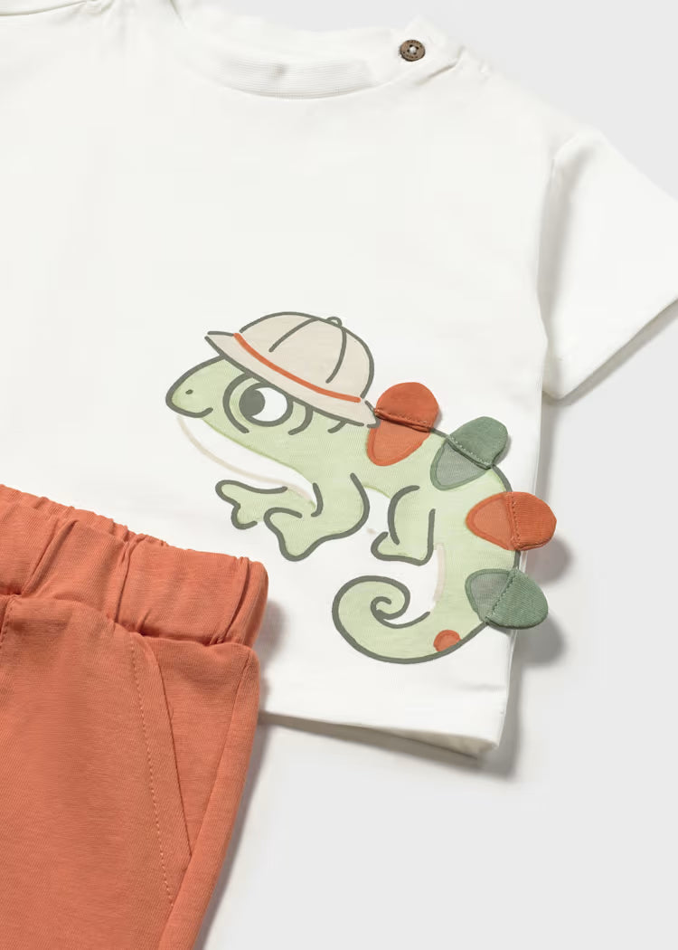 Conjunto punto play