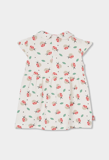 Vestido punto estampado de bebé con ranita