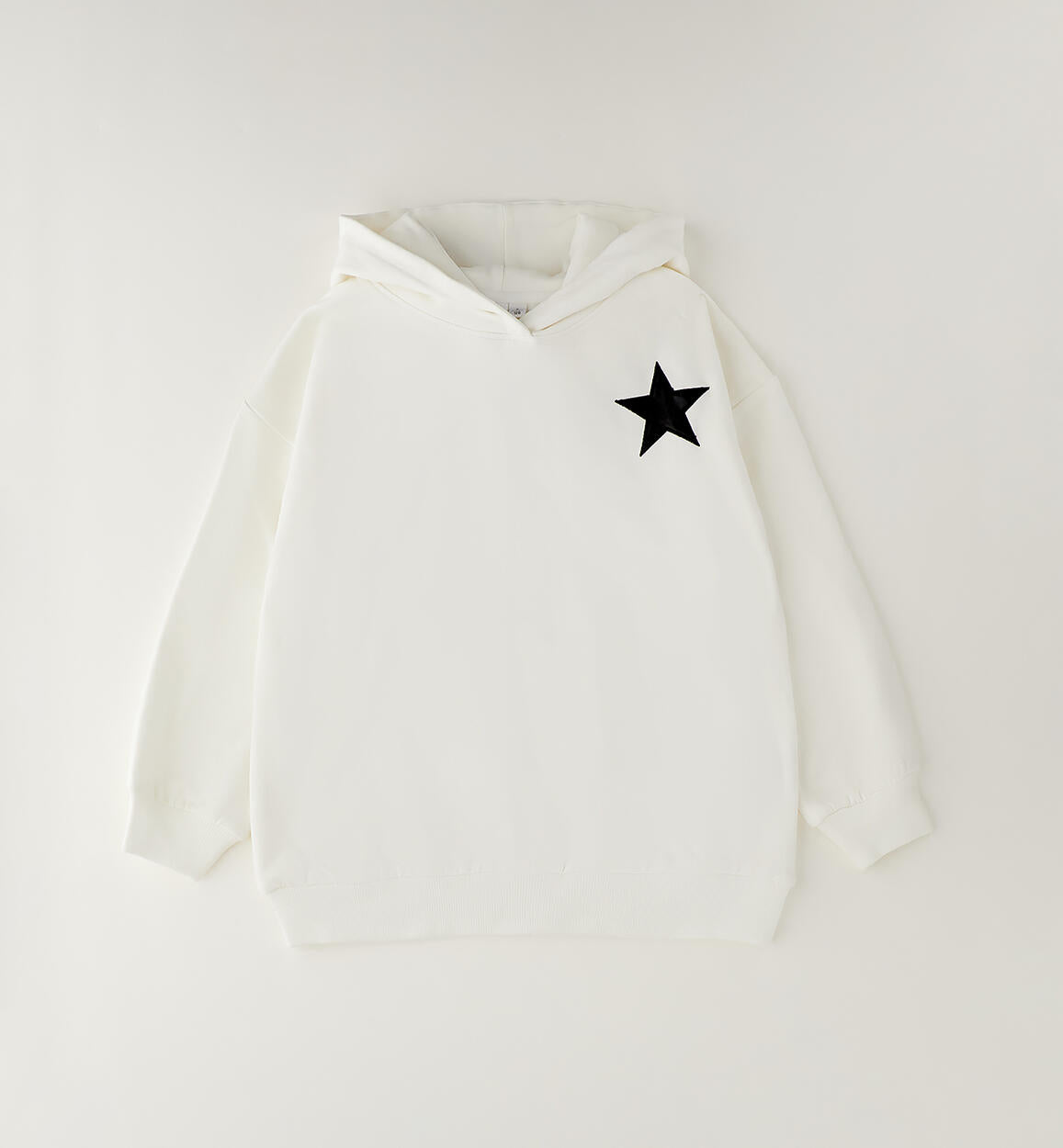 Sudadera capucha estampado trasero