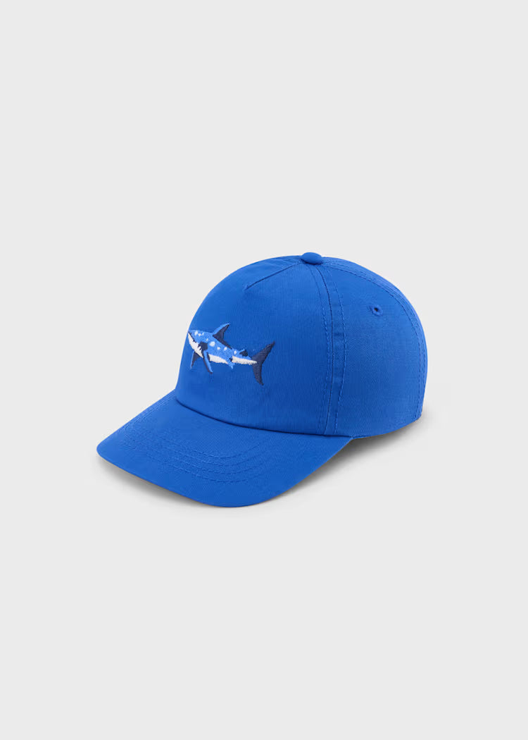 Gorra bordado