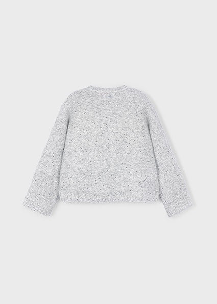 Jersey Lentejuelas