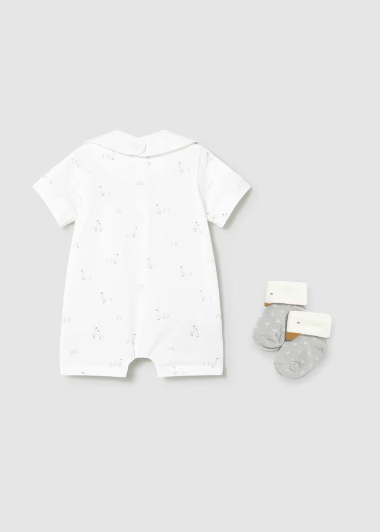 Set regalo pijama corto