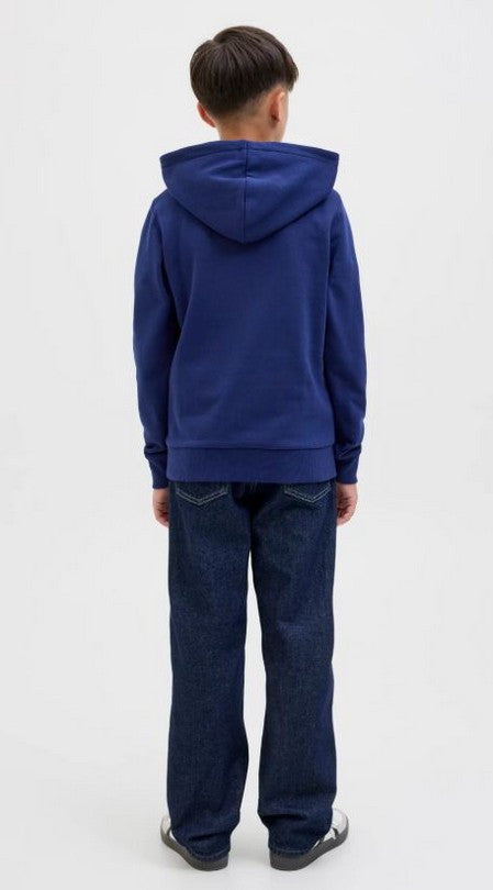 Sudadera Jack & Jones varios colores