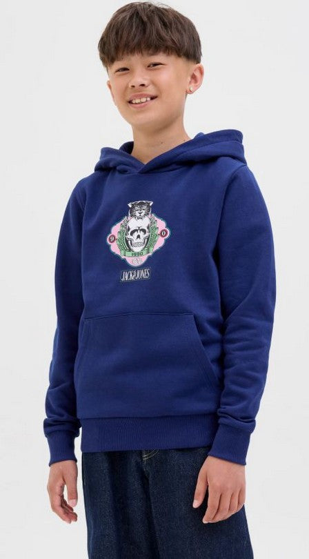 Sudadera Jack & Jones varios colores