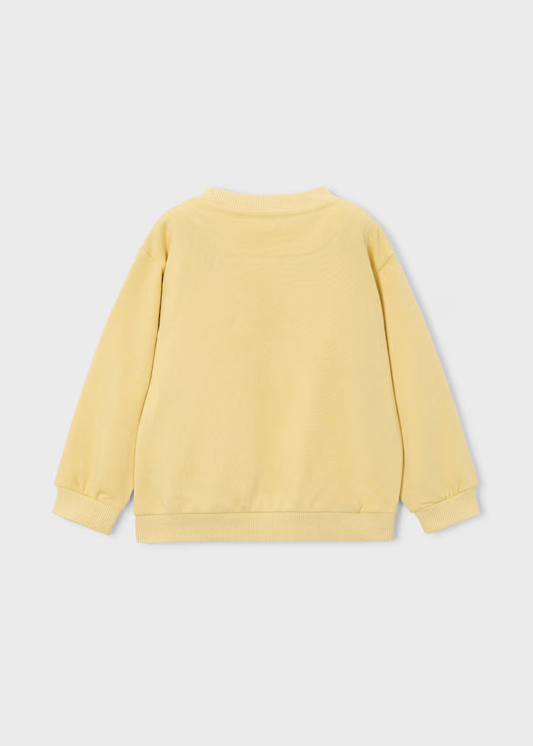 Sudadera niño cuello redondo Skate
